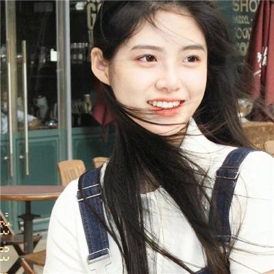 推荐 玫瑰